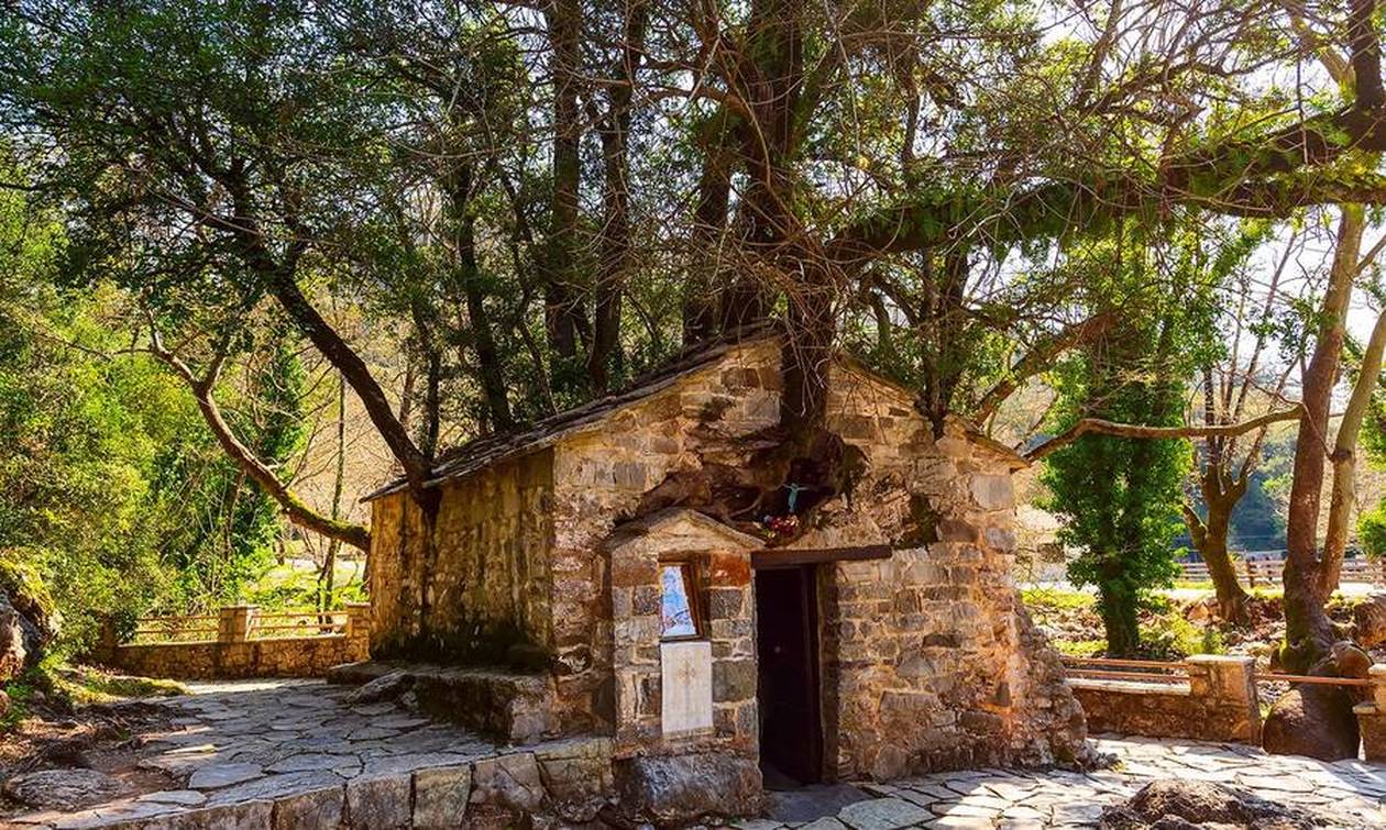 Αγία Θεοδώρα, Βάστα Αρκαδίας: Το Εκκλησάκι και τα 17 Δέντρα που Στέκουν Σα Φύλακες!